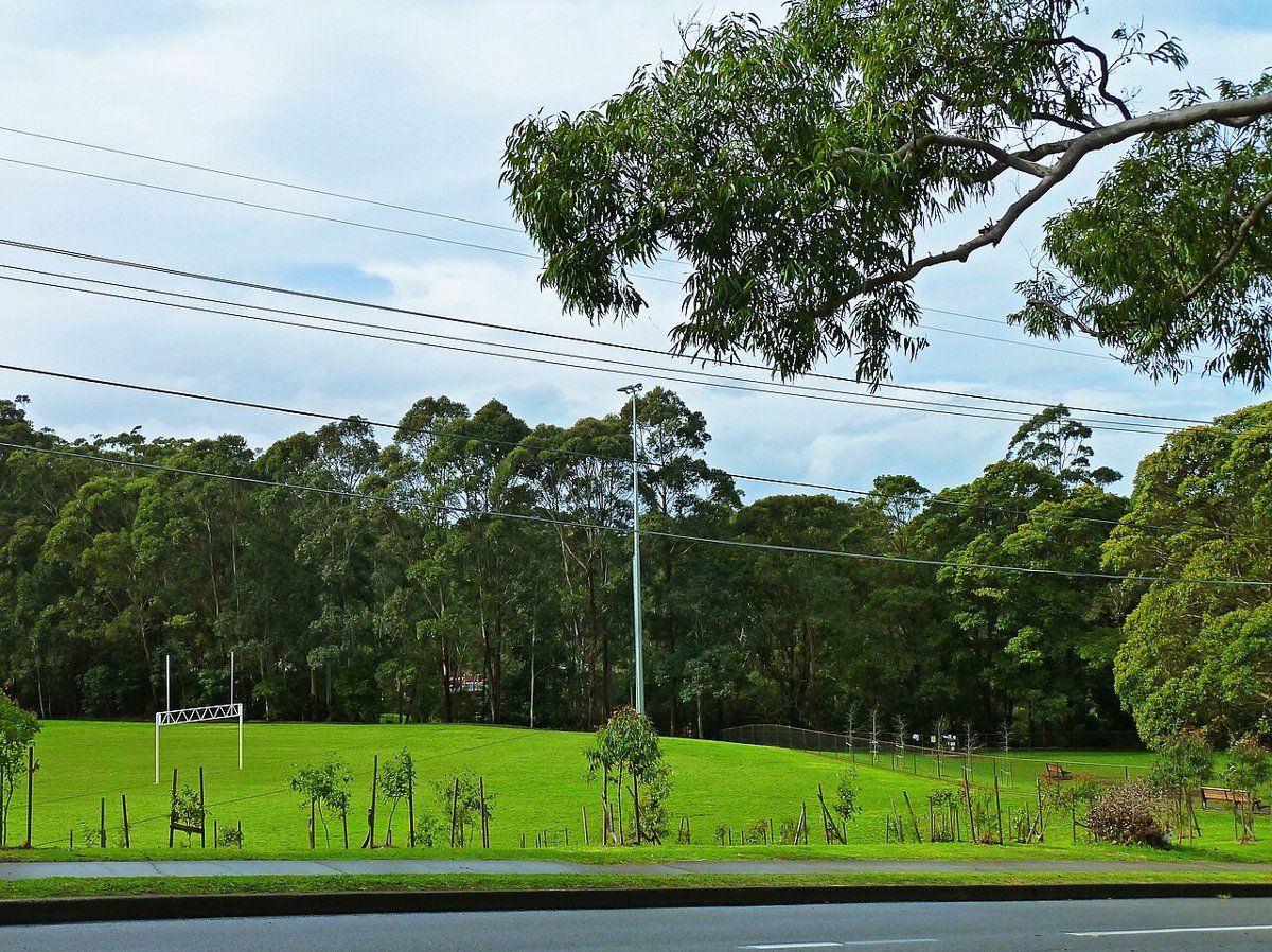 Open playing fields at Bicentennial Park, West Pymble, with trees behind