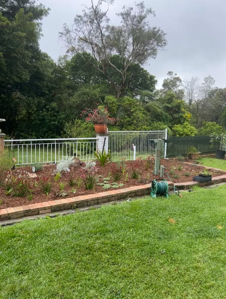 Step 2: the same brick-edged bed just planted, with small native grasses, strappy plants and silver-leaved shrubs spaced out across the soil